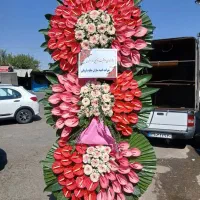 کد 425گلفروشی ارکیده