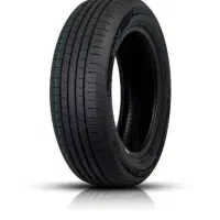 لاستیک ساینا