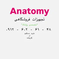 مانکن ، رگال باکس و ویترین تبلیغاتی آناتومی