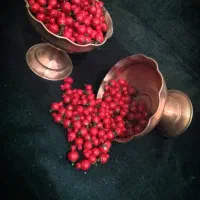 فروش عمده وتکی میوههای مینیاتوری مناسب یلدا