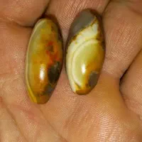 مهره سلطانی جفت|جواهرات|اهواز, منبع اب|دیوار