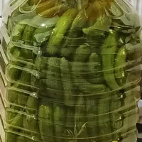 فروش خیار شور خانگی