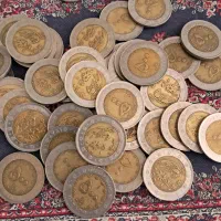 سکه دانه 20 هزار