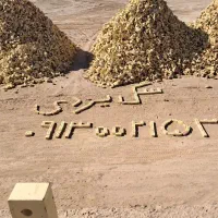 سگل یزدی اجر گری فشار