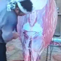 سلاخی قصابی سلاخ قصاب ذبح