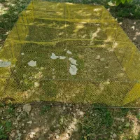توری میلگردی انواع پرنده و طیور معاوضه