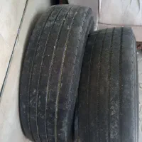لاستیک سمندی با ۱جفت نیسانی