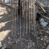 قفس|لوازم جانبی حیوانات|عجب شیر, |دیوار