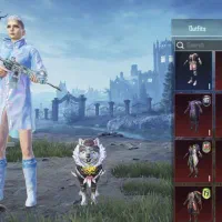 اجاره  اکانت پابجی اگر بخواهید هم فروخته میشه