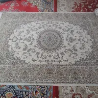 فرش نو|فرش|بجنورد, |دیوار