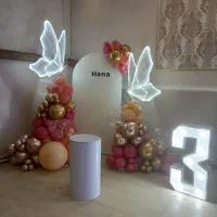 بادکنک ارایی حرفه ای و تخصصی