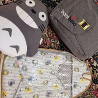 کیف و قنداق فرنگی نوزاد