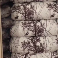 تشک مهمان نو