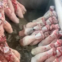 پاچه گوساله درجه ۱