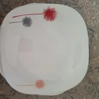 سرویس آرکوپال قاصدک