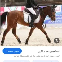 پانسیون نگهداری اسب و سوارکاری