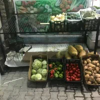میز میوه فروشی ،سبد هندوانه،بنر میوه فروشی|فروشگاه و مغازه|ماکو, |دیوار