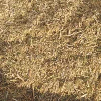 کاه کسن و کاه نخود سبز...و نخود پاک شده