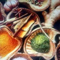 سبزی خشک ادویه جات