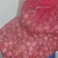 گردو درجه ۱ دالاهو|خوردنی و آشامیدنی|دالاهو, |دیوار
