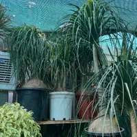 نیرو جهت کار در فضای سبز و گلخانه|استخدام صنعتی، فنی، مهندسی|پاکدشت, خاتون آباد|دیوار