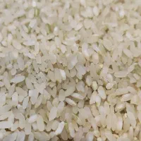 برنج کامفیروزی اعلا