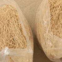 رشته پلویی واشی