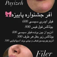 تزریق فیلر صورت مطابق المانهای زیبایی شناسی|خدمات آرایشگری و زیبایی|قرچک, پویینک|دیوار