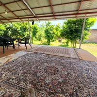 ویلاباغ ۷۰۰متری/سندتک برگ/ویوابدی|فروش خانه و ویلا|طاهرگوراب, |دیوار