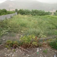 زمین مسکونی (تجاری مسکونی ام میخوره)