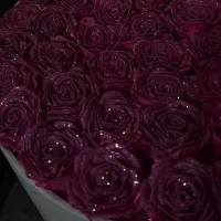 ....gol|گل مصنوعی|نورآباد, |دیوار