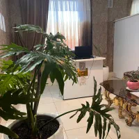 اجاره ملک حاشیه جمهوری / آرایشگاه/آموزشگاه/مطب|اجارهٔ دفتر کار، اتاق اداری، مطب|گلبهار, شهر جدید گلبهار|دیوار