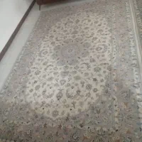 فرش دست بافت دوتا۶ متری