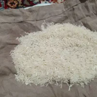 برنج فجر سوزنی نودروزه....