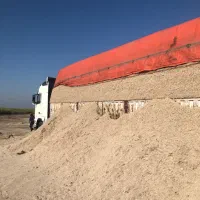 علوفه کاه نیشکر زیر قیمت تازه سفید