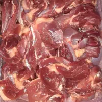 گوشت ماهیچه شترمرغ|خوردنی و آشامیدنی|شیراز, منطقه هوایی شهید دوران|دیوار