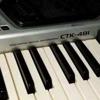 کیبورد و ارگ|پیانو، کیبورد، آکاردئون|نوشهر, |دیوار