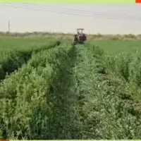 ۵۰هکتارزمین آبی باموتوربرقی