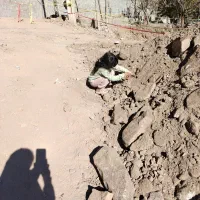 زمین  باغچه فروشی کلاته ملک