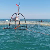 قفس پرورش ماهی دریای خزر