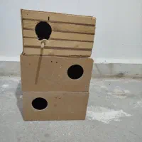 لانه عروس هلندی وبرزیلی|لوازم جانبی حیوانات|قروه, |دیوار