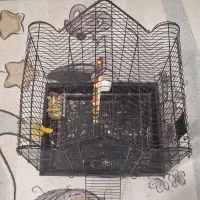 قفس پرنده|لوازم جانبی حیوانات|اصفهان, بهرام‌آباد|دیوار