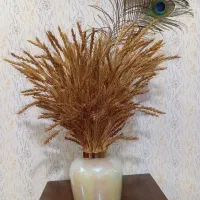 گلدان و گندم با دو عدد پر طاووس