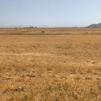 225متر-بر-خیابان-اصلی-موقعیتی-خوب-جهت-سرمایه-گذاری