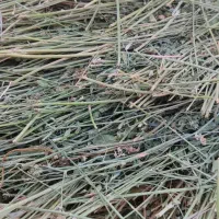 بیده یونجه 30