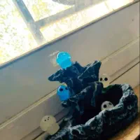 جاکلیدی،دکوری رزینی|زیورآلات و اکسسوری|رشت, باهنر|دیوار