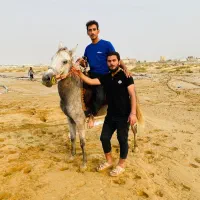 اسب کرد|اسب و تجهیزات اسبسواری|بندر کنگان, |دیوار