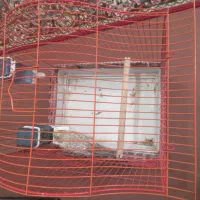 فروش یامعاوضه یک عددعروس هلندی ماده زیبا|پرنده|فردوسیه, |دیوار