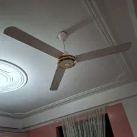 پنکه سقفی|پنکه و تصفیه‌کنندهٔ هوا|رشت, آزادگان|دیوار