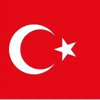 کارگر کاشیکاری برای ترکیه